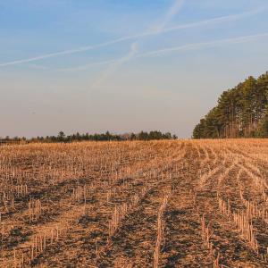 Photo #22 of TBD COURTENAY GLEN WAY, CHARLOTTESVILLE, VA 21.0 acres