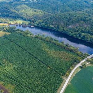 Photo #5 of TBD JAMES RIVER RD, WINGINA, VA 36.9 acres