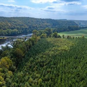 Photo #29 of TBD JAMES RIVER RD, WINGINA, VA 36.9 acres