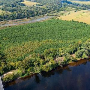 Photo #38 of TBD JAMES RIVER RD, WINGINA, VA 36.9 acres