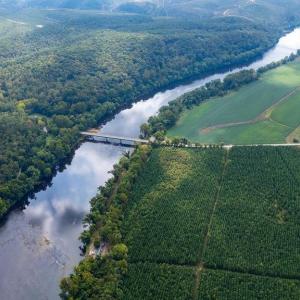 Photo #9 of TBD JAMES RIVER RD, WINGINA, VA 36.9 acres