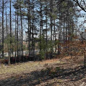 Photo #5 of 2301 THREE NOTCH RD, KENTS STORE, VA 24.3 acres