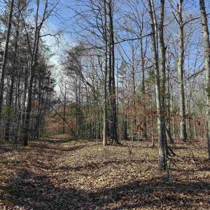 Photo #1 of 2301 THREE NOTCH RD, KENTS STORE, VA 24.3 acres