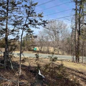 Photo #4 of 2301 THREE NOTCH RD, KENTS STORE, VA 24.3 acres