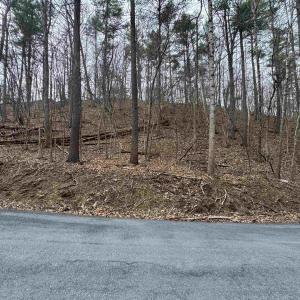 Photo #8 of TBD FAIRWAY DR, BASYE, VA 0.5 acres