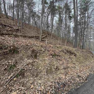 Photo #4 of TBD FAIRWAY DR, BASYE, VA 0.5 acres
