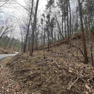 Photo #9 of TBD FAIRWAY DR, BASYE, VA 0.5 acres