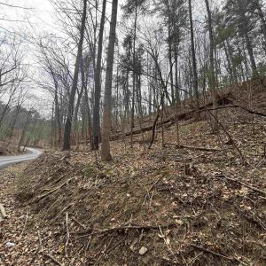 Photo #10 of TBD FAIRWAY DR, BASYE, VA 0.5 acres