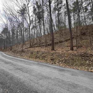 Photo #6 of TBD FAIRWAY DR, BASYE, VA 0.5 acres