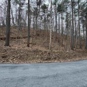 Photo #7 of TBD FAIRWAY DR, BASYE, VA 0.5 acres