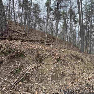 Photo #5 of TBD FAIRWAY DR, BASYE, VA 0.5 acres
