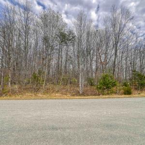 Photo #10 of Lot 2 OVERTON DR, MINERAL, VA 1.0 acres
