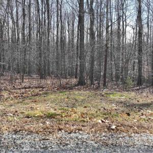 Photo #11 of 112 FISHER DR, MINERAL, VA 2.0 acres