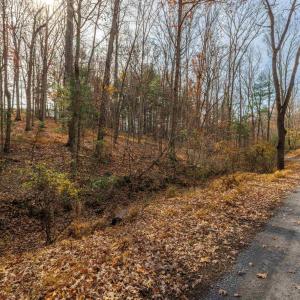 Photo #10 of TBD PLUM TREE DRAFT RD, CHURCHVILLE, VA 3.4 acres
