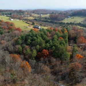 Photo #20 of TBD PLUM TREE DRAFT RD, CHURCHVILLE, VA 3.4 acres