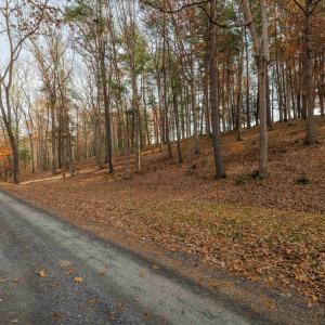 Photo #1 of TBD PLUM TREE DRAFT RD, CHURCHVILLE, VA 3.4 acres