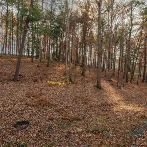 Photo #5 of TBD PLUM TREE DRAFT RD, CHURCHVILLE, VA 3.4 acres