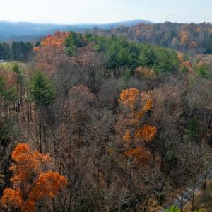 Photo #7 of TBD PLUM TREE DRAFT RD, CHURCHVILLE, VA 3.4 acres