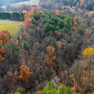 Photo #6 of TBD PLUM TREE DRAFT RD, CHURCHVILLE, VA 3.4 acres