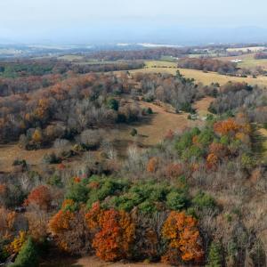Photo #25 of TBD PLUM TREE DRAFT RD, CHURCHVILLE, VA 3.4 acres