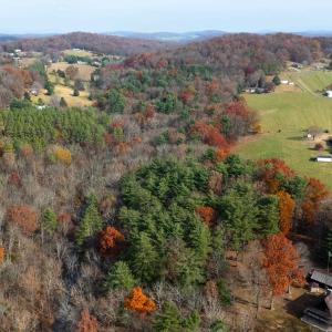 Photo #22 of TBD PLUM TREE DRAFT RD, CHURCHVILLE, VA 3.4 acres