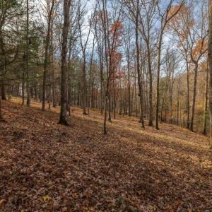 Photo #15 of TBD PLUM TREE DRAFT RD, CHURCHVILLE, VA 3.4 acres