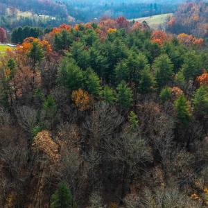 Photo #17 of TBD PLUM TREE DRAFT RD, CHURCHVILLE, VA 3.4 acres