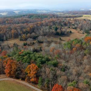 Photo #26 of TBD PLUM TREE DRAFT RD, CHURCHVILLE, VA 3.4 acres