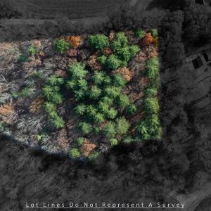 Photo #16 of TBD PLUM TREE DRAFT RD, CHURCHVILLE, VA 3.4 acres