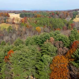 Photo #24 of TBD PLUM TREE DRAFT RD, CHURCHVILLE, VA 3.4 acres