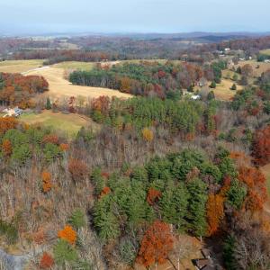 Photo #23 of TBD PLUM TREE DRAFT RD, CHURCHVILLE, VA 3.4 acres