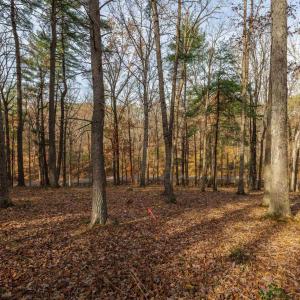 Photo #9 of TBD PLUM TREE DRAFT RD, CHURCHVILLE, VA 3.4 acres