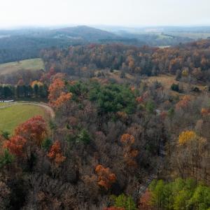 Photo #18 of TBD PLUM TREE DRAFT RD, CHURCHVILLE, VA 3.4 acres