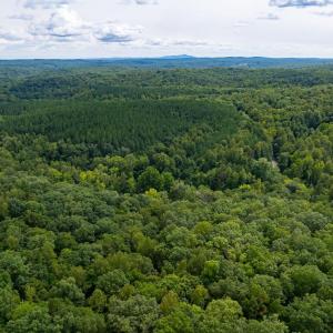 Photo #31 of 4952 IRISH RD, SCHUYLER, VA 12.6 acres