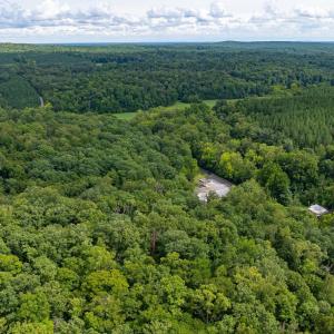 Photo #30 of 4952 IRISH RD, SCHUYLER, VA 12.6 acres