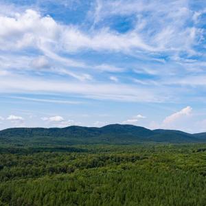 Photo #28 of 4952 IRISH RD, SCHUYLER, VA 12.6 acres