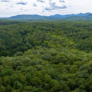 Photo #32 of TBD IRISH RD, SCHUYLER, VA 11.3 acres