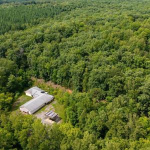 Photo #3 of TBD IRISH RD, SCHUYLER, VA 11.3 acres