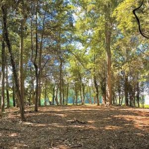 Photo #12 of TBD PECAN LN, CARDINAL, VA 10.2 acres