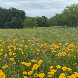 Photo #9 of TBD PECAN LN, CARDINAL, VA 10.2 acres