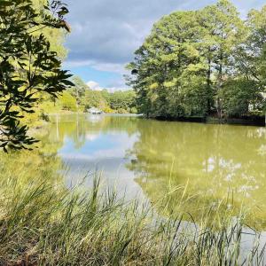 Photo #2 of TBD PECAN LN, CARDINAL, VA 10.2 acres