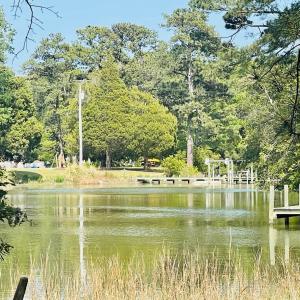 Photo #1 of TBD PECAN LN, CARDINAL, VA 10.2 acres