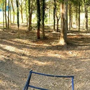 Photo #13 of TBD PECAN LN, CARDINAL, VA 10.2 acres