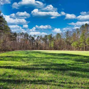 Photo #6 of 19075 CHILESBURG RD, BEAVERDAM, VA 21.6 acres
