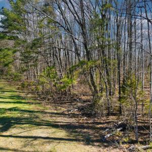 Photo #10 of 19075 CHILESBURG RD, BEAVERDAM, VA 21.6 acres