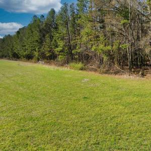 Photo #13 of 19075 CHILESBURG RD, BEAVERDAM, VA 21.6 acres