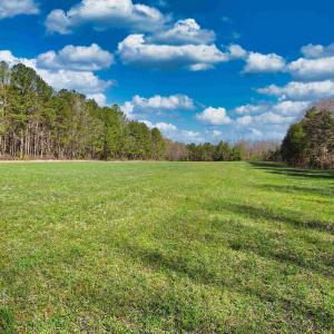 Photo #5 of 19075 CHILESBURG RD, BEAVERDAM, VA 21.6 acres