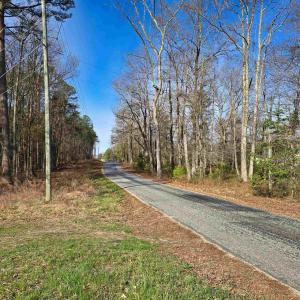 Photo #14 of 19075 CHILESBURG RD, BEAVERDAM, VA 21.6 acres