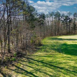 Photo #11 of 19075 CHILESBURG RD, BEAVERDAM, VA 21.6 acres