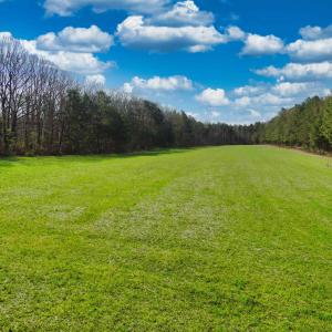 Photo #1 of 19075 CHILESBURG RD, BEAVERDAM, VA 21.6 acres